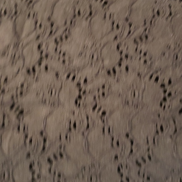 Babaton Black Lace Dress - Picture 5 of 14